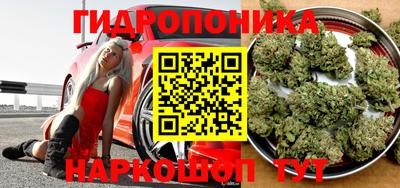 кокс Пугачёв