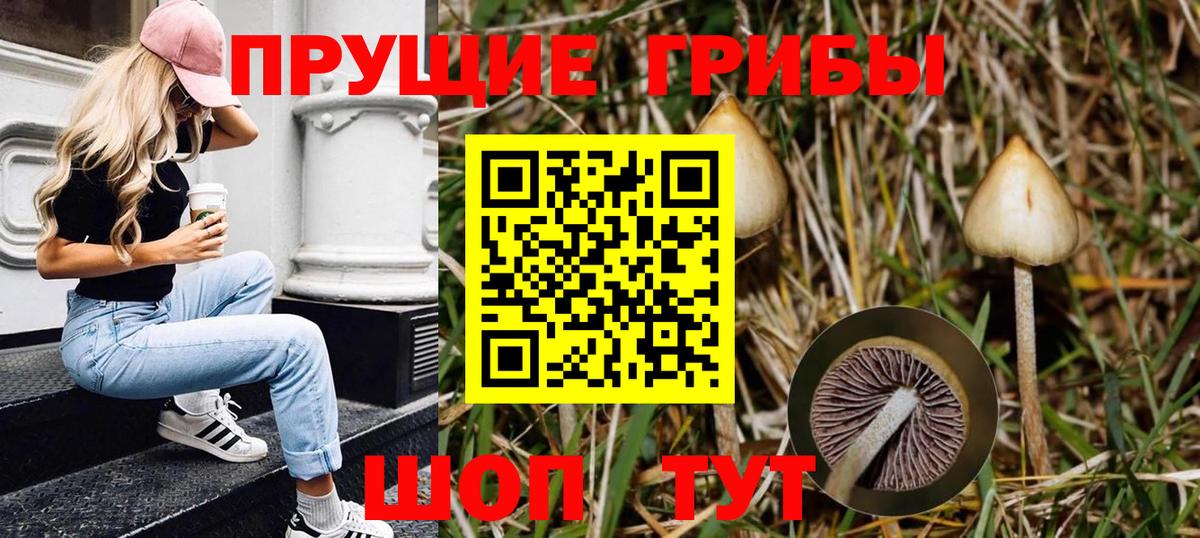 Псилоцибиновые грибы GOLDEN TEACHER  что такое наркотик  Ржев  Вход с VPN 