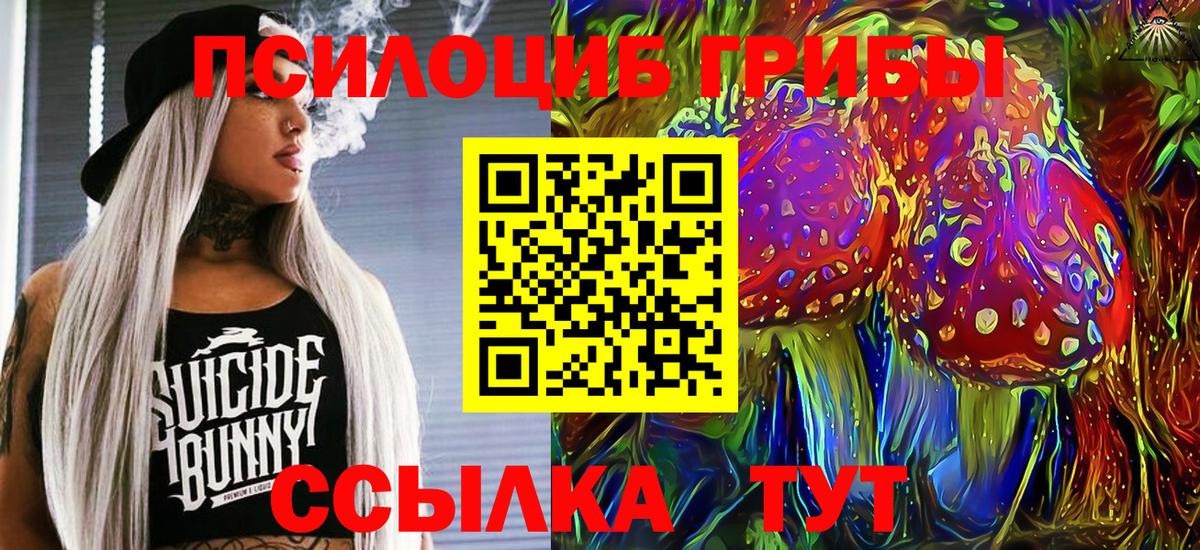 Псилоцибиновые грибы Psilocybine cubensis Ржев